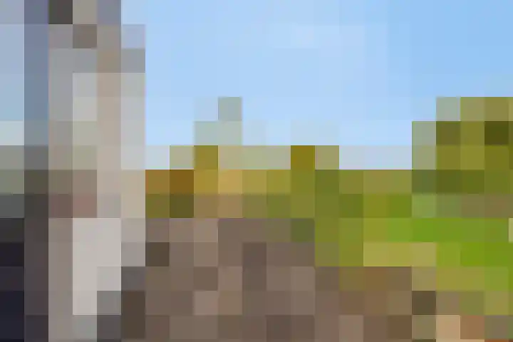 Boerendijk 64 Fijnaart thumbnail 27