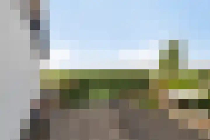 Boerendijk 64 Fijnaart thumbnail 28
