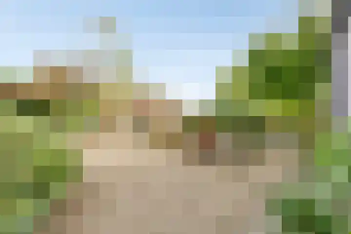 Boerendijk 64 Fijnaart thumbnail 29