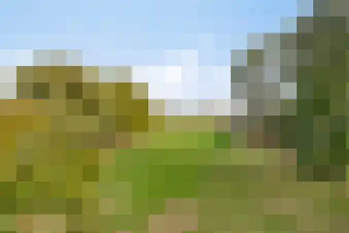 Boerendijk 64 Fijnaart thumbnail 30