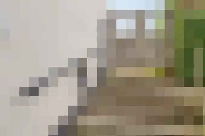 Boerendijk 64 Fijnaart thumbnail 31
