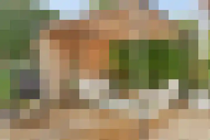 Boerendijk 64 Fijnaart thumbnail 32
