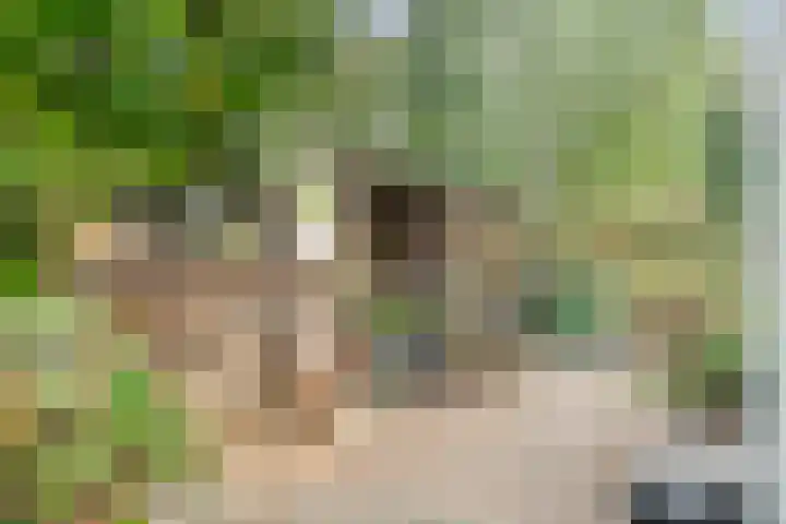 Boerendijk 64 Fijnaart thumbnail 34