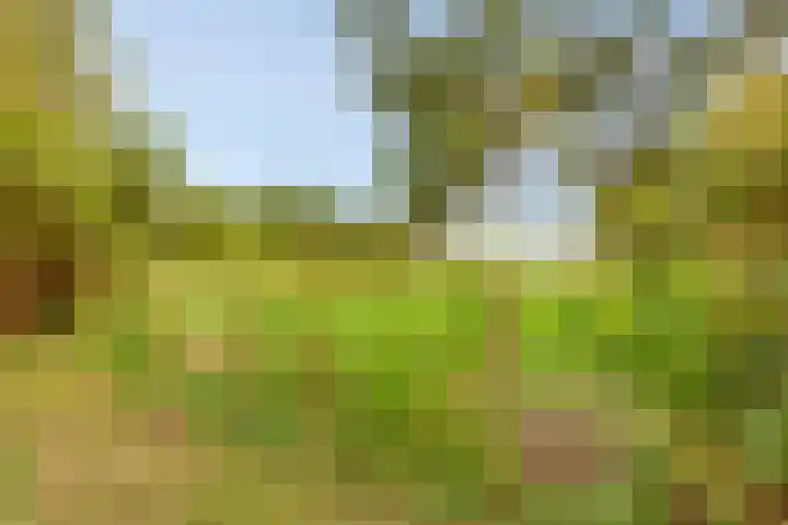 Boerendijk 64 Fijnaart thumbnail 35