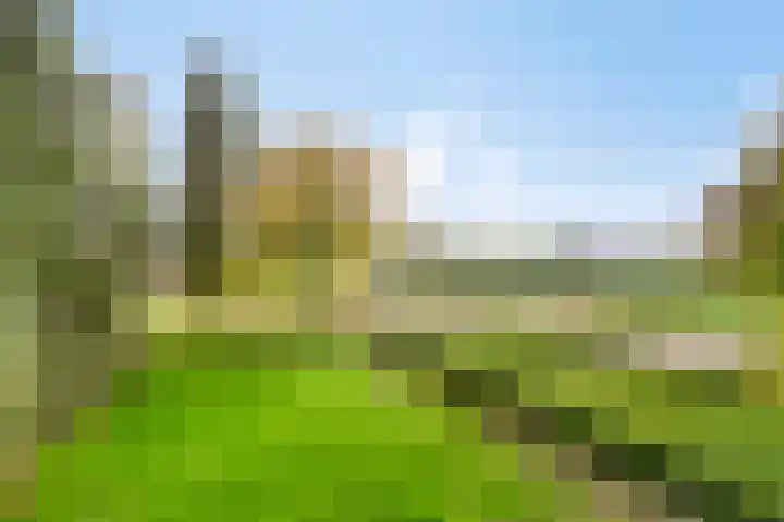Boerendijk 64 Fijnaart thumbnail 37