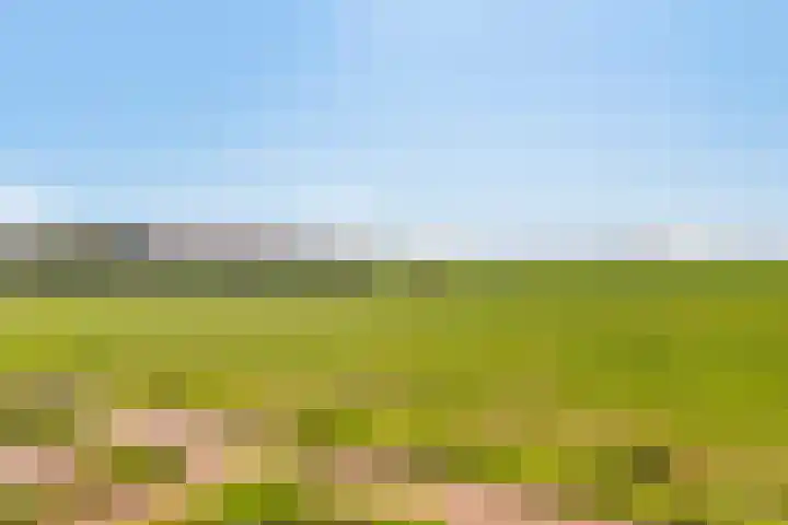 Boerendijk 64 Fijnaart thumbnail 38