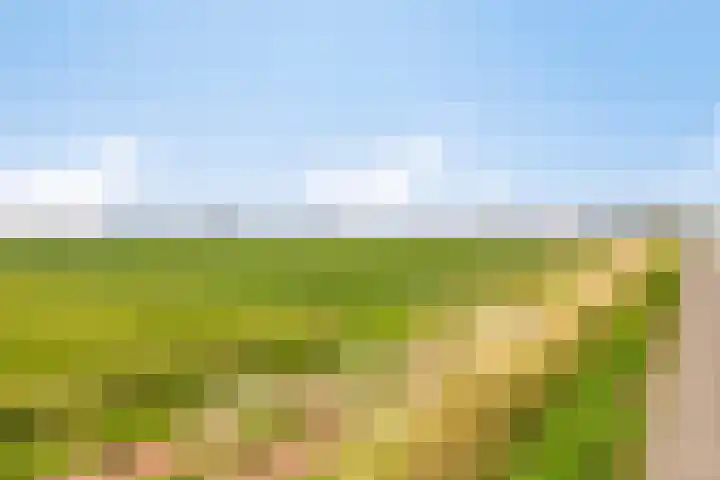 Boerendijk 64 Fijnaart thumbnail 39