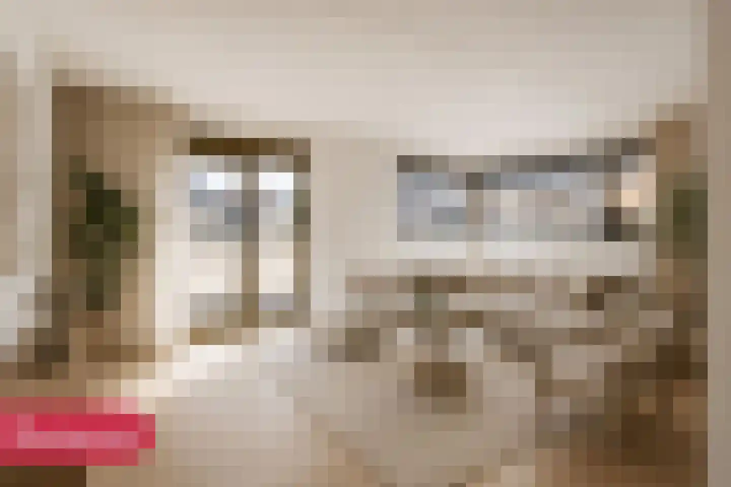Boerenerf 11 Meerkerk thumbnail 11