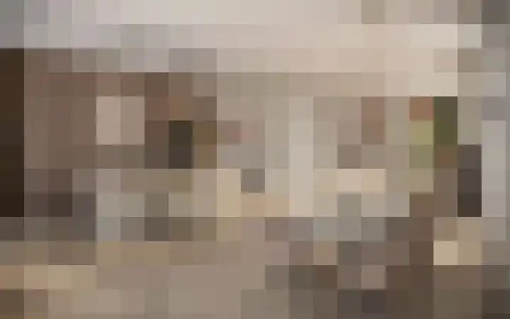 Boerenerf 11 Meerkerk thumbnail 14