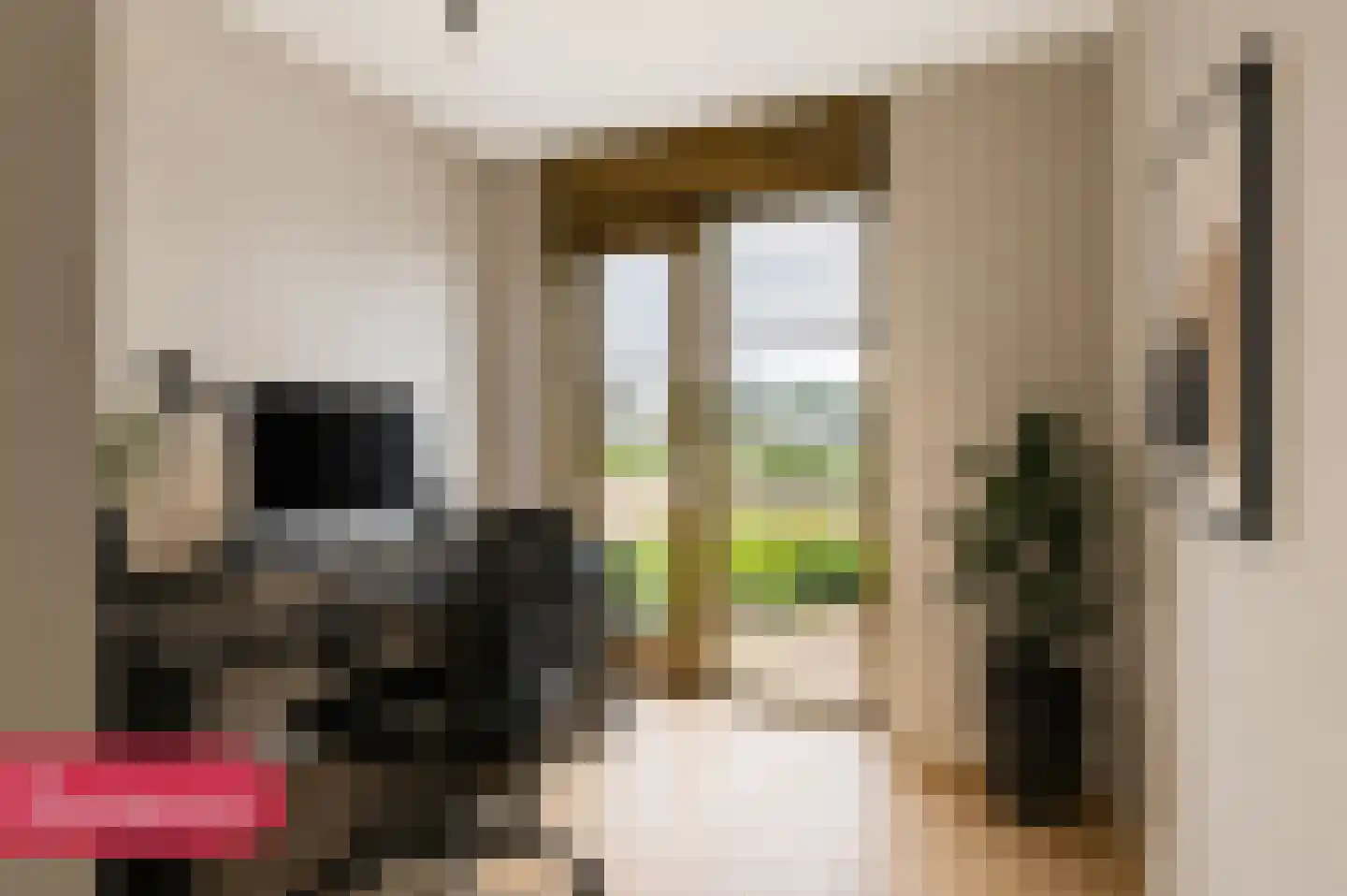 Boerenerf 11 Meerkerk thumbnail 17