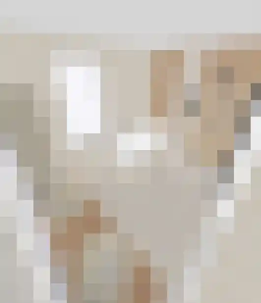 Boerenerf 11 Meerkerk thumbnail 19