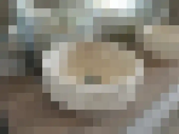 Boerenerf 11 Meerkerk thumbnail 20