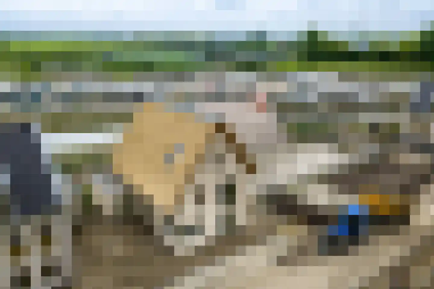 Boerenerf 11 Meerkerk thumbnail 42