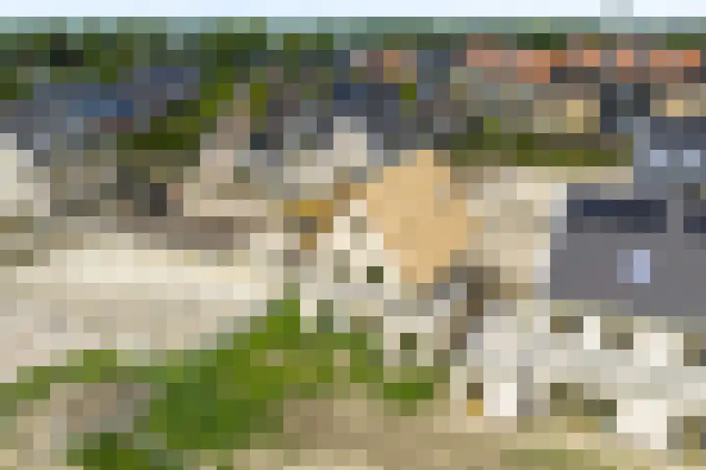 Boerenerf 11 Meerkerk thumbnail 45