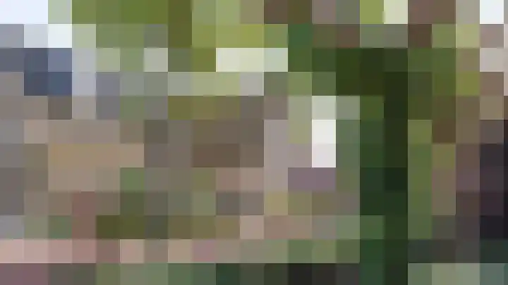 Boerenerf 11 Meerkerk thumbnail 5