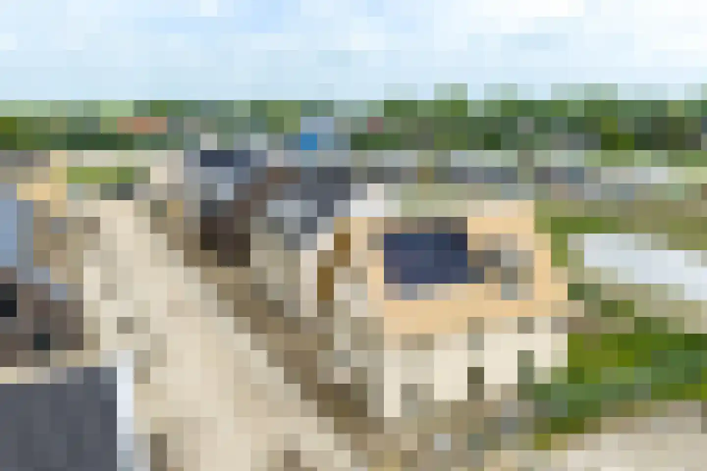 Boerenerf 11 Meerkerk thumbnail 5