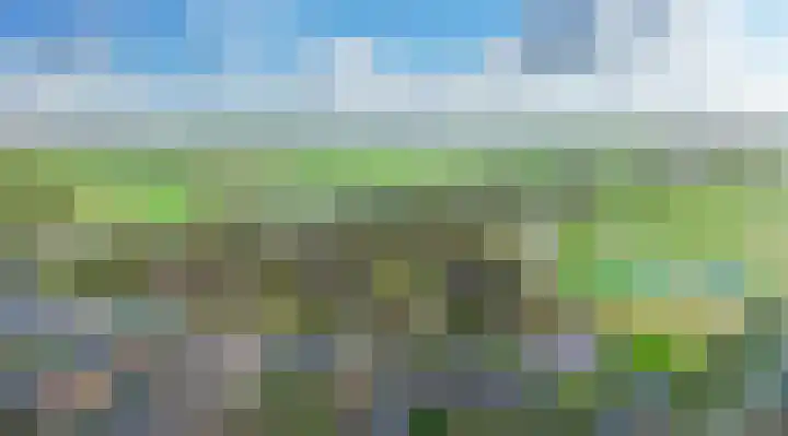 Boerenerf 11 Meerkerk thumbnail 6