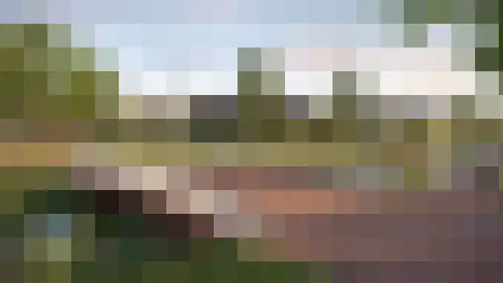 Boerenerf 11 Meerkerk thumbnail 8