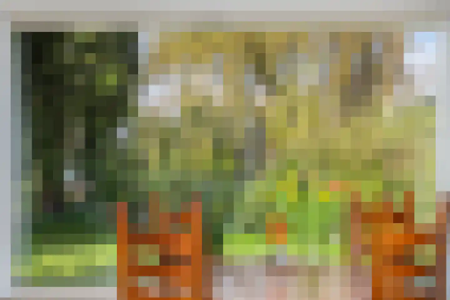 Boerenerf 11 's-Hertogenbosch thumbnail 10