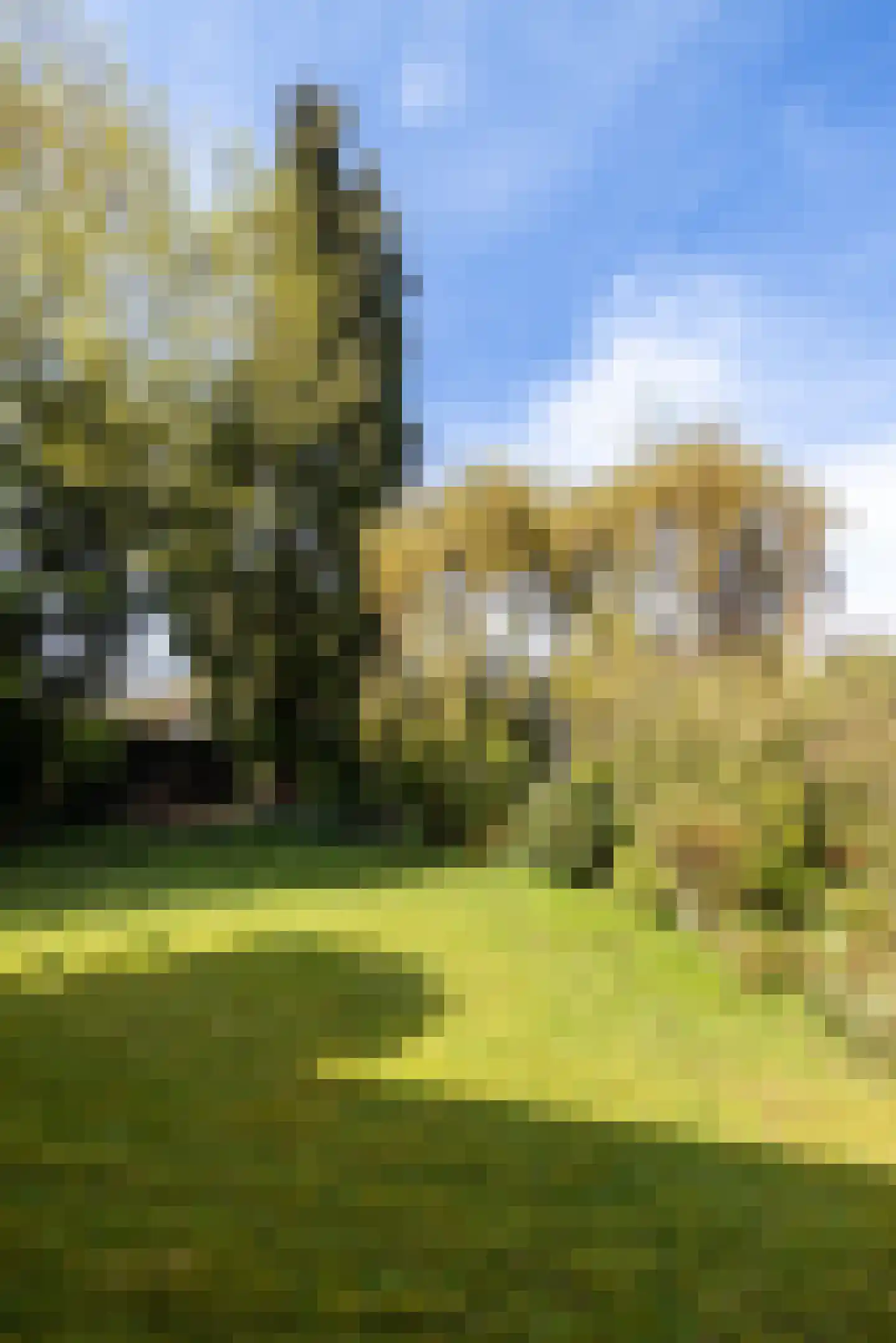 Boerenerf 11 's-Hertogenbosch thumbnail 11