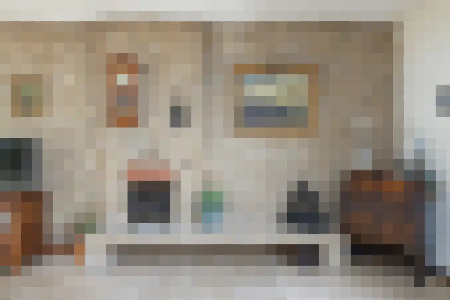 Boerenerf 11 's-Hertogenbosch thumbnail 15