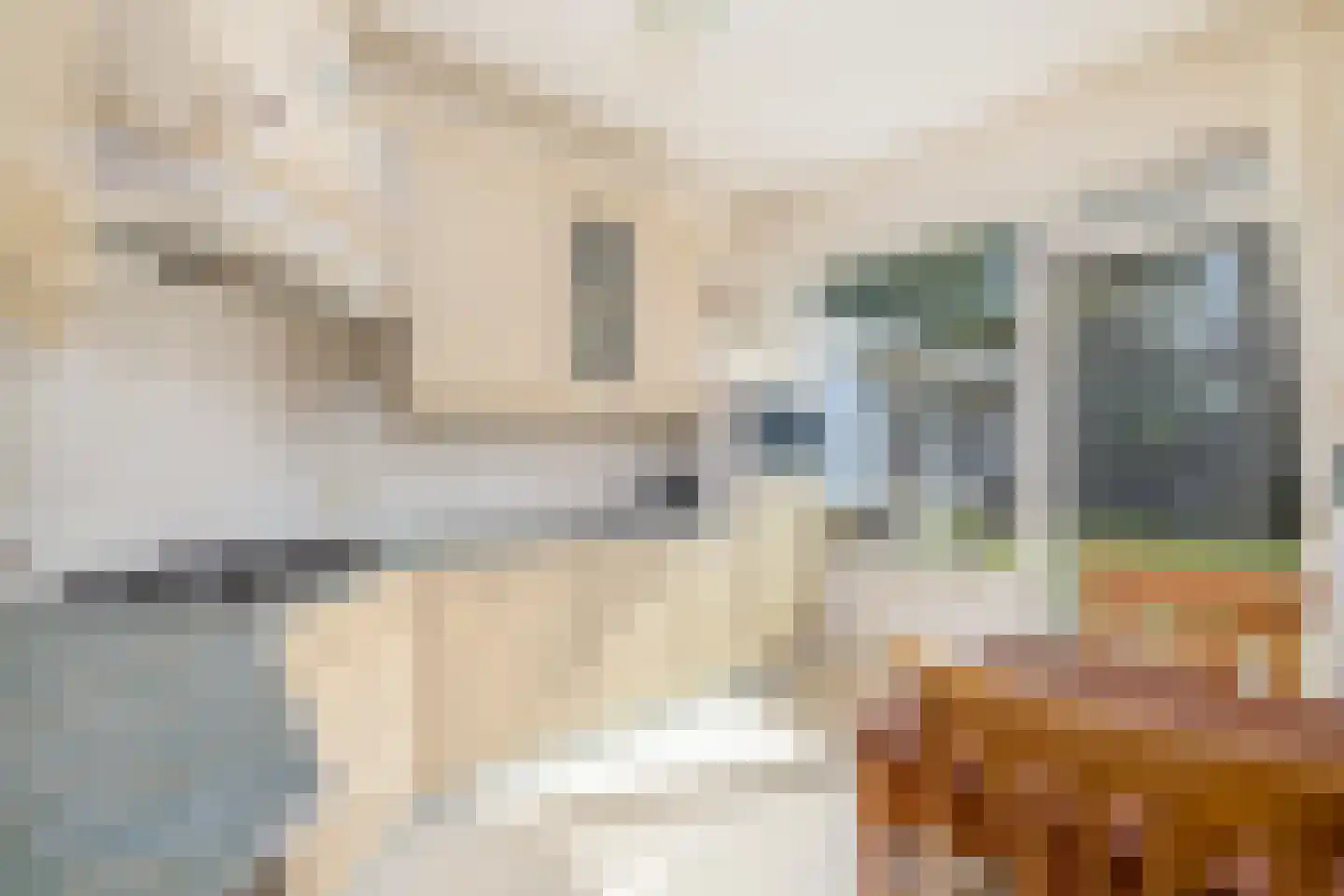 Boerenerf 11 's-Hertogenbosch thumbnail 19