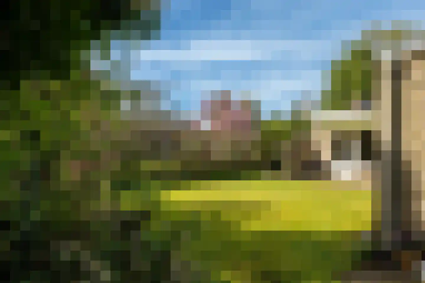 Boerenerf 11 's-Hertogenbosch thumbnail 26