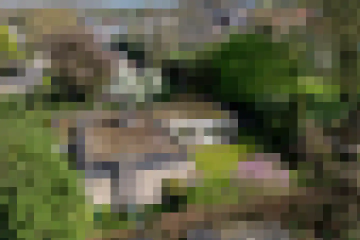 Boerenerf 11 's-Hertogenbosch thumbnail 27