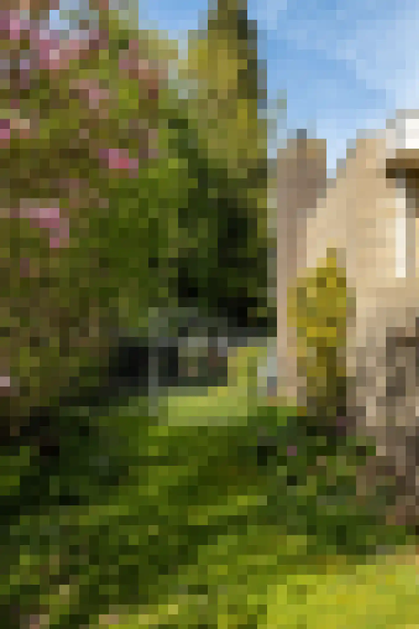 Boerenerf 11 's-Hertogenbosch thumbnail 29