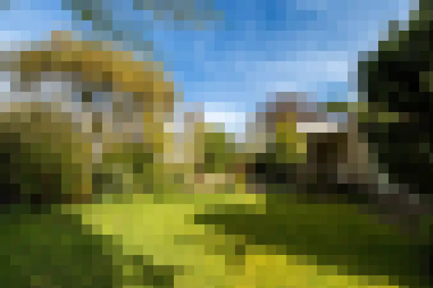 Boerenerf 11 's-Hertogenbosch thumbnail 4
