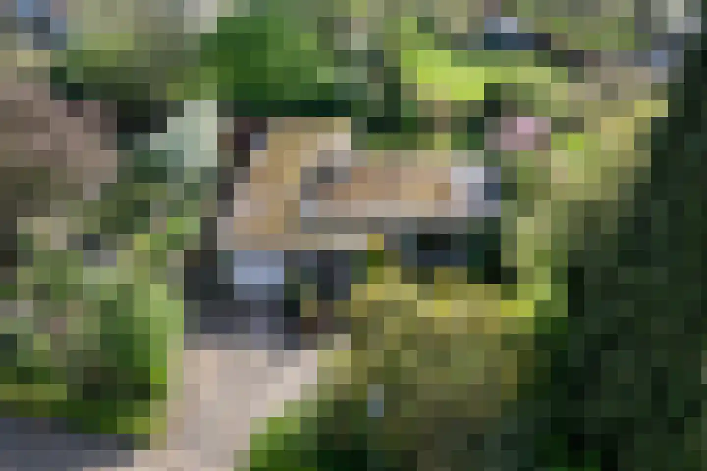 Boerenerf 11 's-Hertogenbosch thumbnail 46