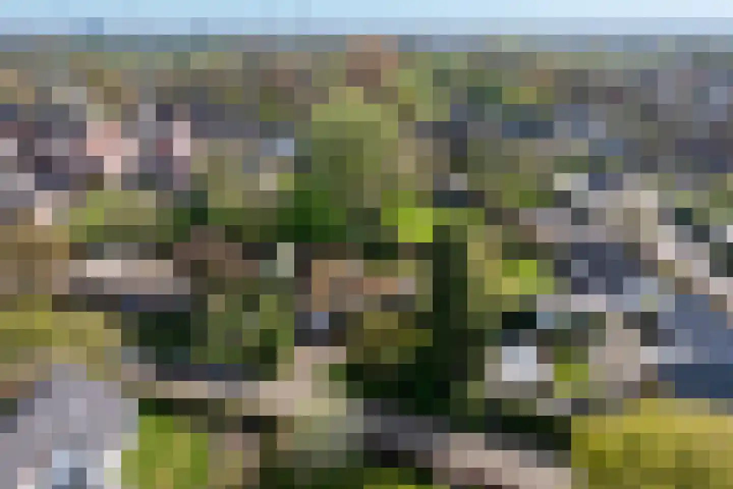 Boerenerf 11 's-Hertogenbosch thumbnail 49