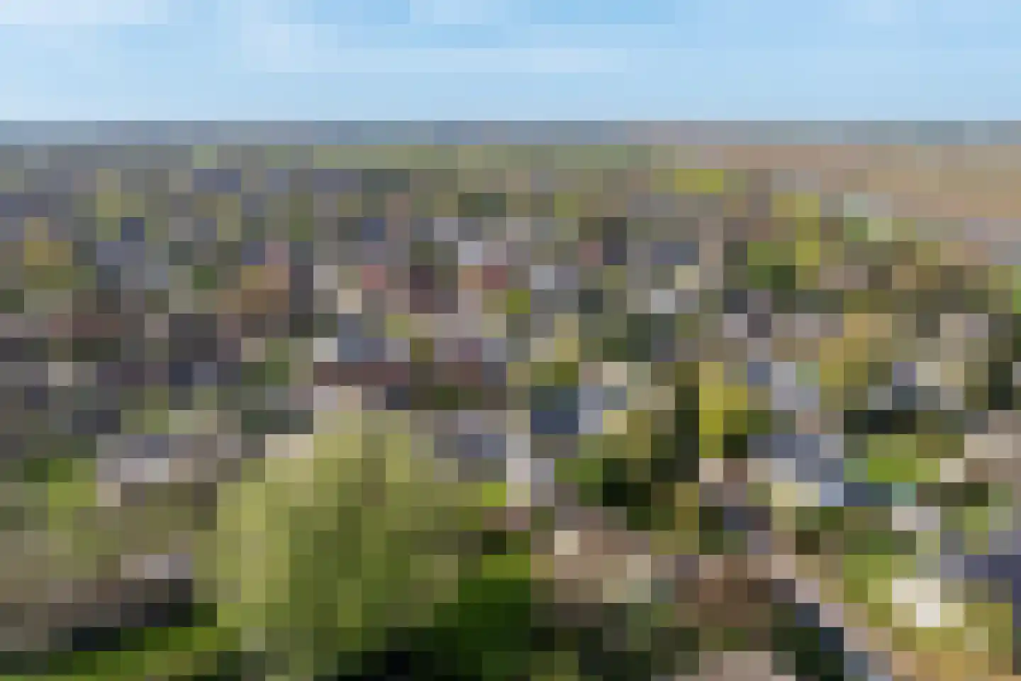 Boerenerf 11 's-Hertogenbosch thumbnail 50