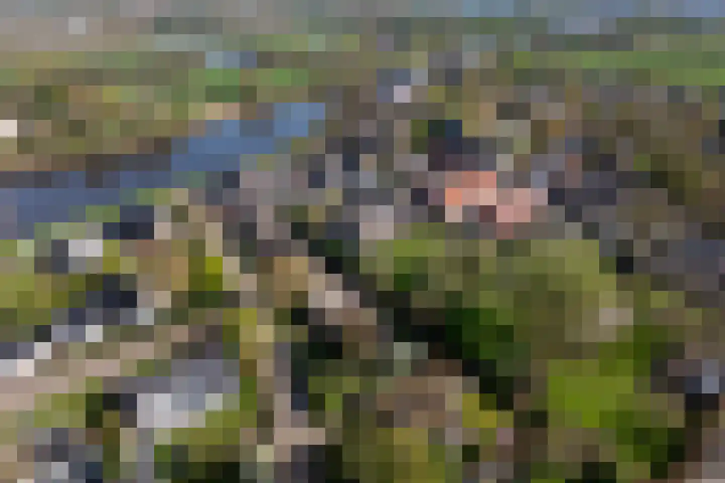 Boerenerf 11 's-Hertogenbosch thumbnail 52