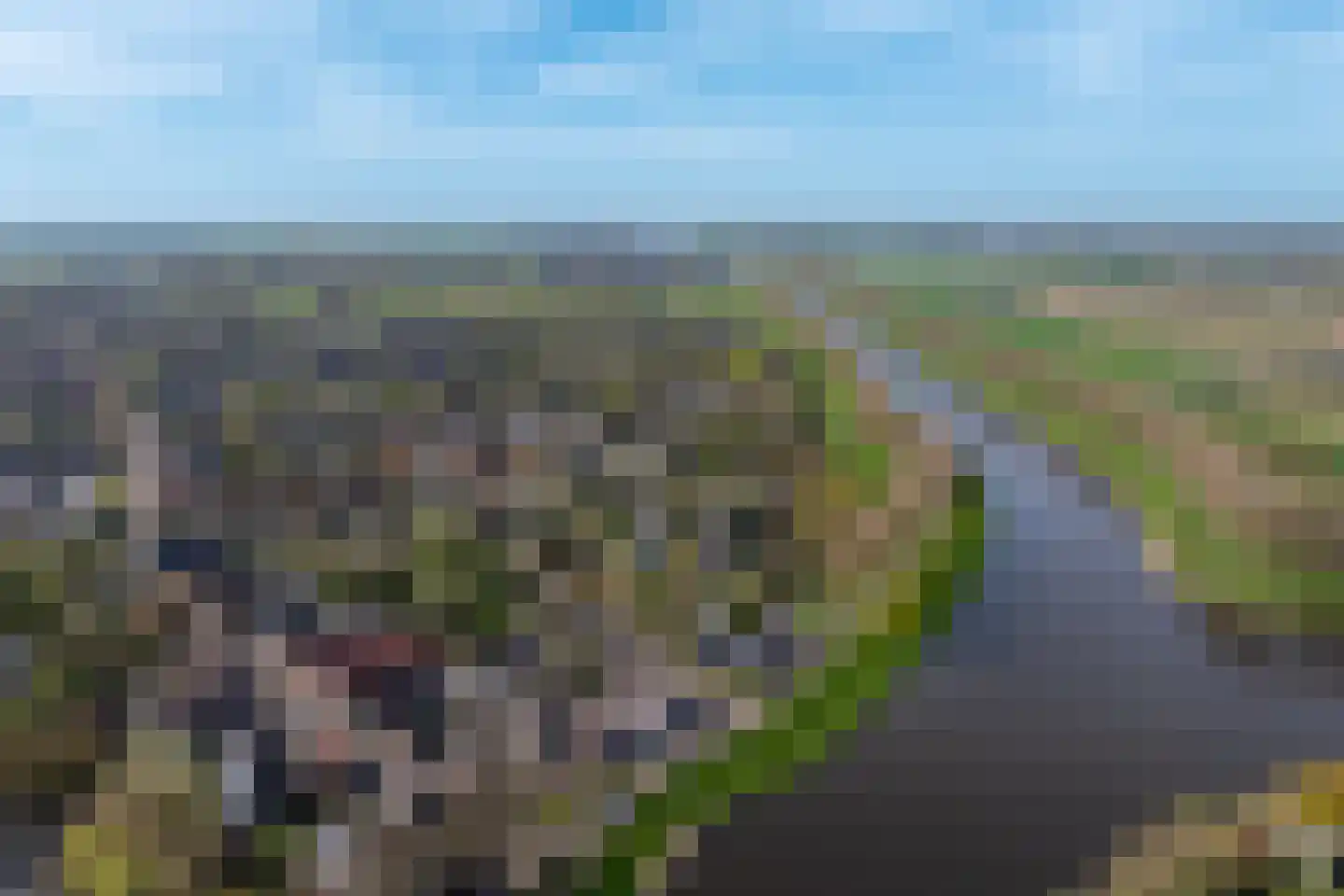 Boerenerf 11 's-Hertogenbosch thumbnail 55