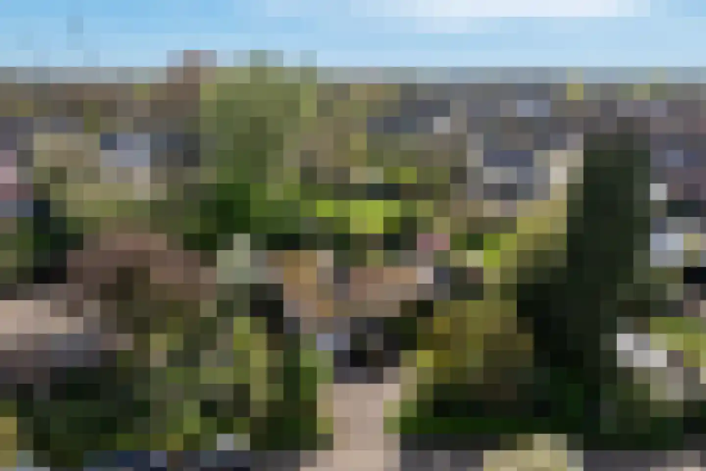 Boerenerf 11 's-Hertogenbosch thumbnail 56