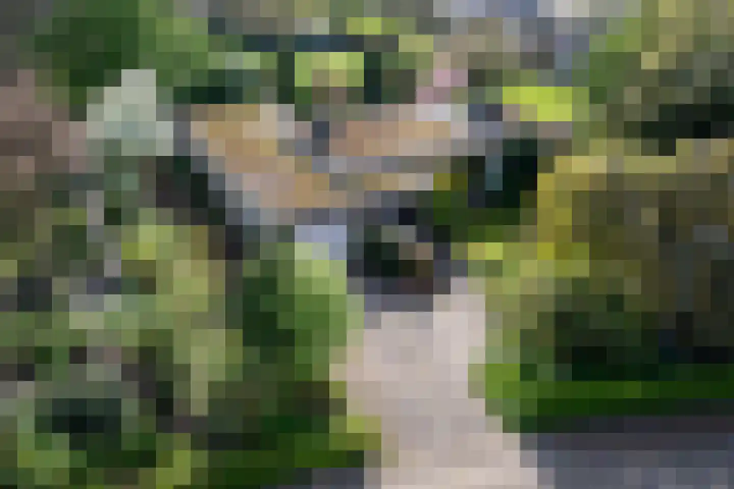 Boerenerf 11 's-Hertogenbosch thumbnail 6