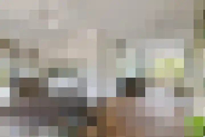 Boerengroenstraat 1 Zuidoostbeemster thumbnail 12