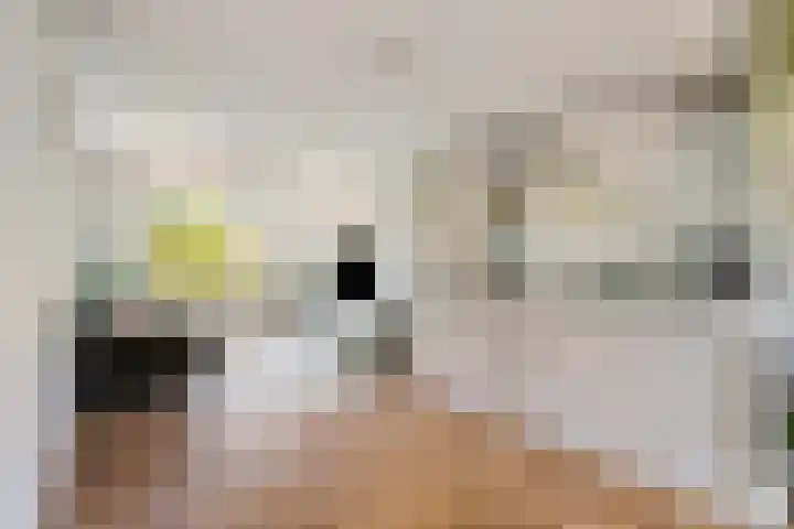 Boerengroenstraat 1 Zuidoostbeemster thumbnail 13