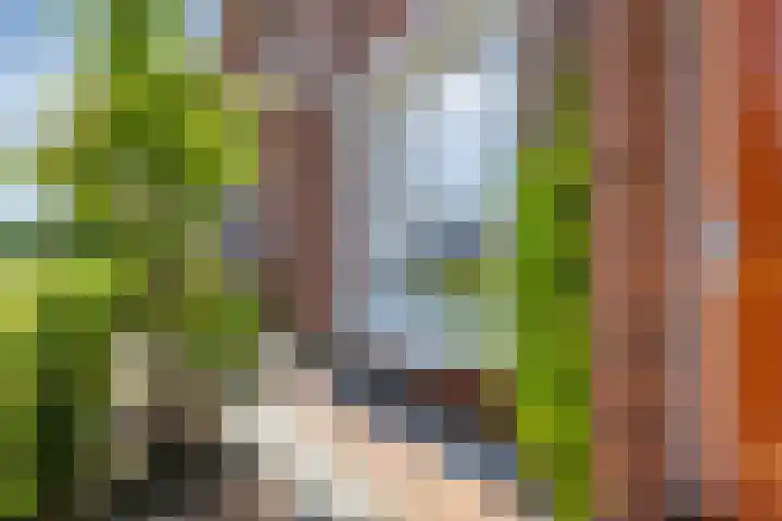 Boerengroenstraat 1 Zuidoostbeemster thumbnail 7