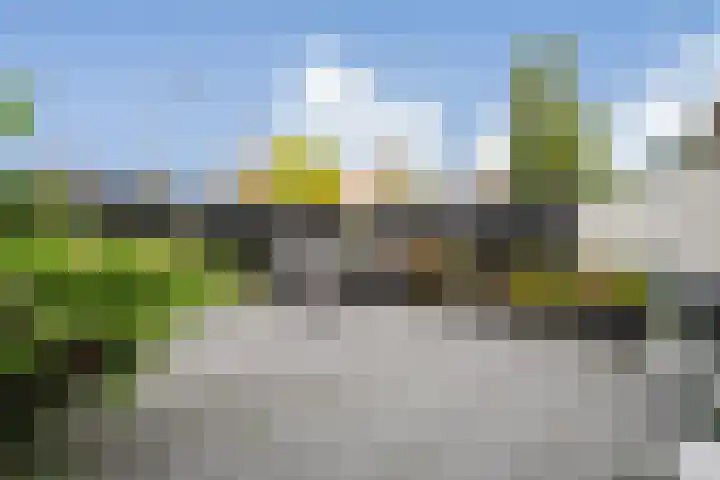 Boerenhoek 18 Hoogvliet Rotterdam thumbnail 13