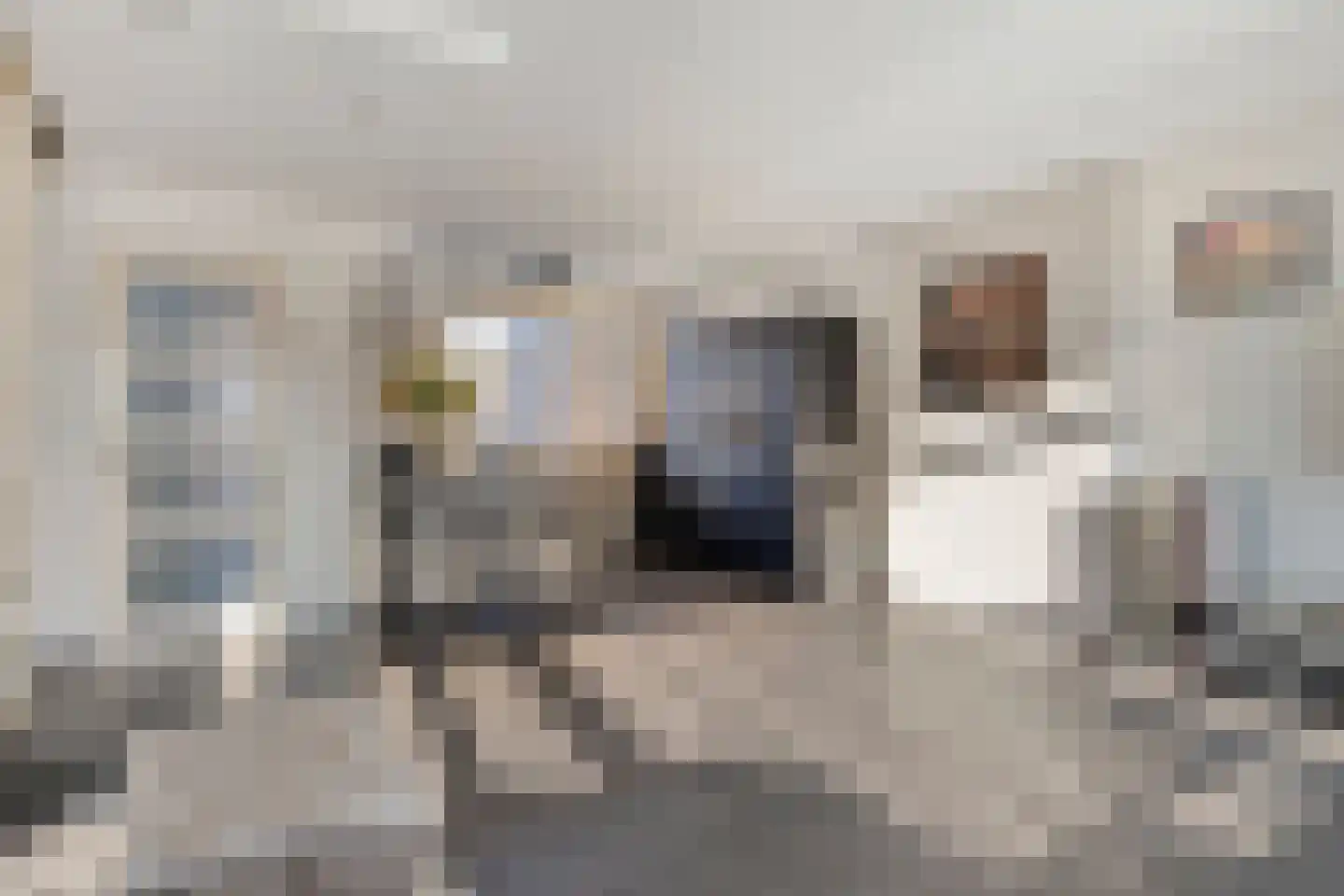 Boerenhoek 72 Hoogvliet Rotterdam thumbnail 5