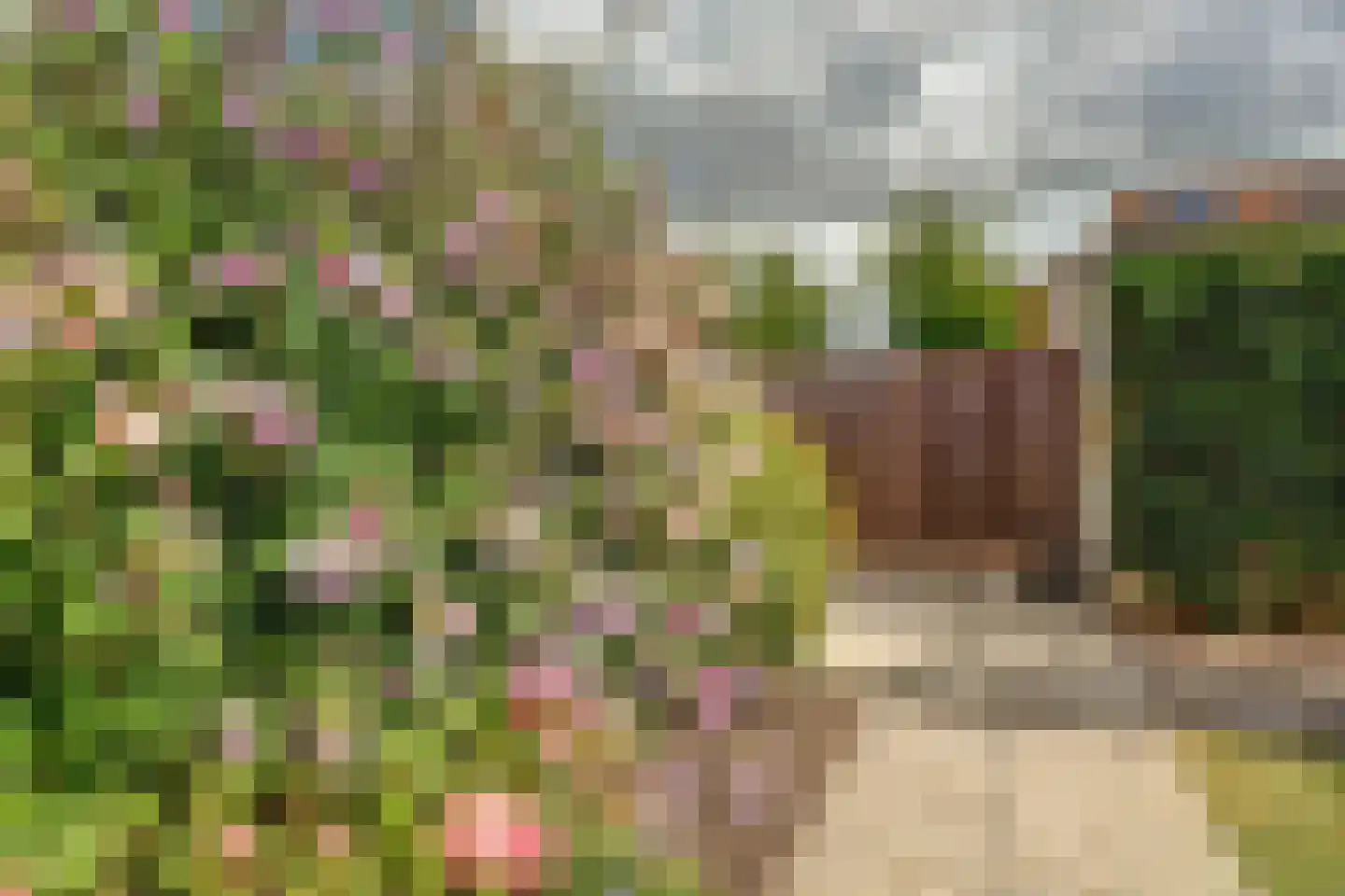 Boerenhoek 83 Hoogvliet Rotterdam thumbnail 22