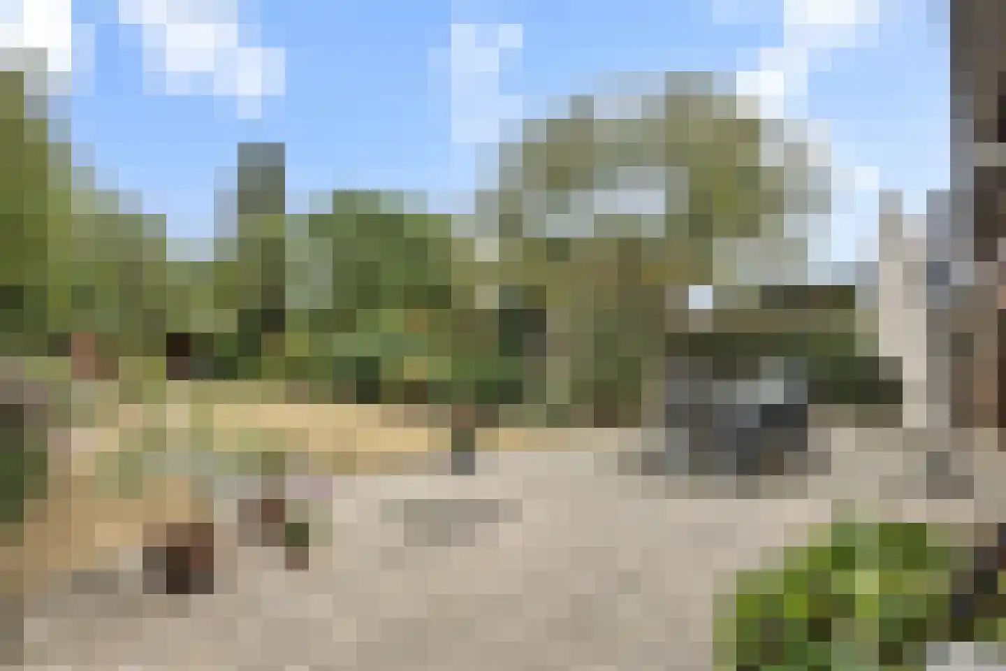 Boerenkamplaan 159 Someren thumbnail 4