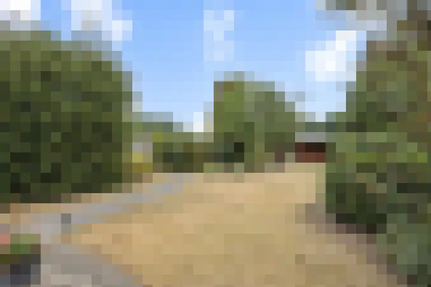 Boerenkamplaan 159 Someren thumbnail 5
