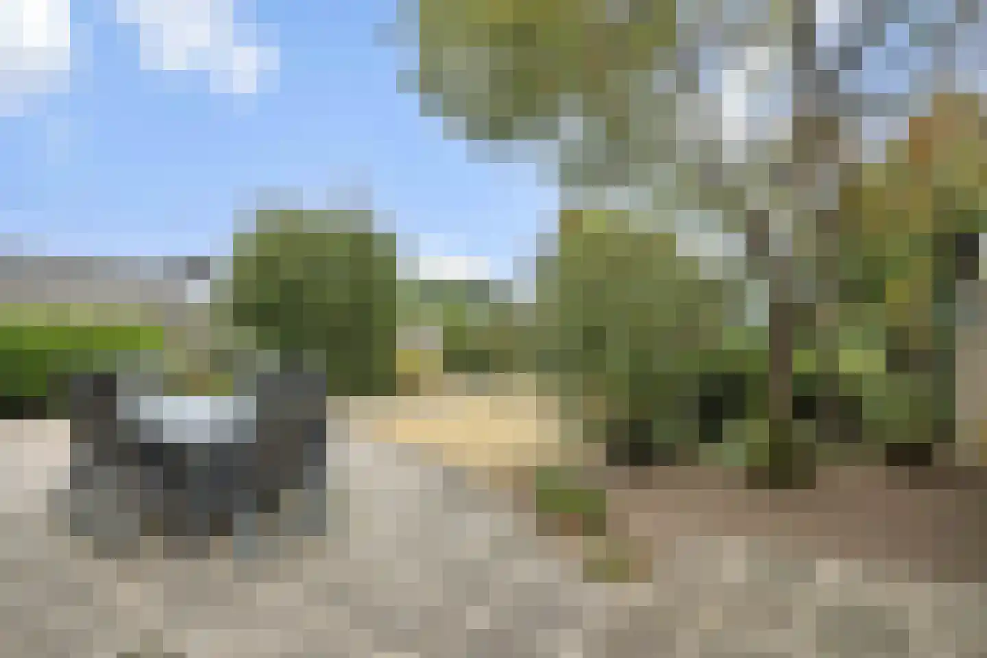 Boerenkamplaan 159 Someren thumbnail 6