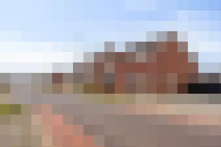 Boerenkamplaan 19 Someren thumbnail 10