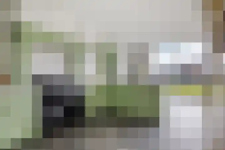 Boerenkamplaan 19 Someren thumbnail 13