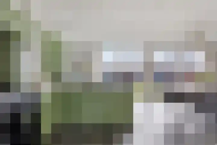 Boerenkamplaan 19 Someren thumbnail 14