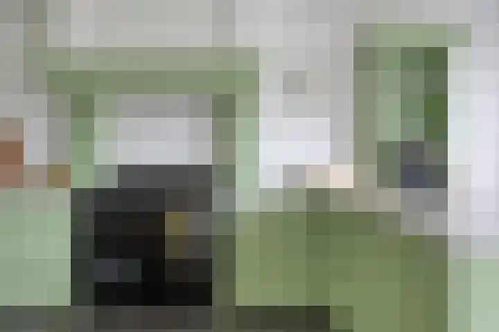 Boerenkamplaan 19 Someren thumbnail 17